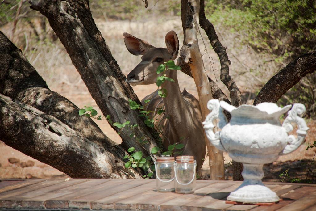 Mvuradona Safari Lodge Marloth Park Exterior foto